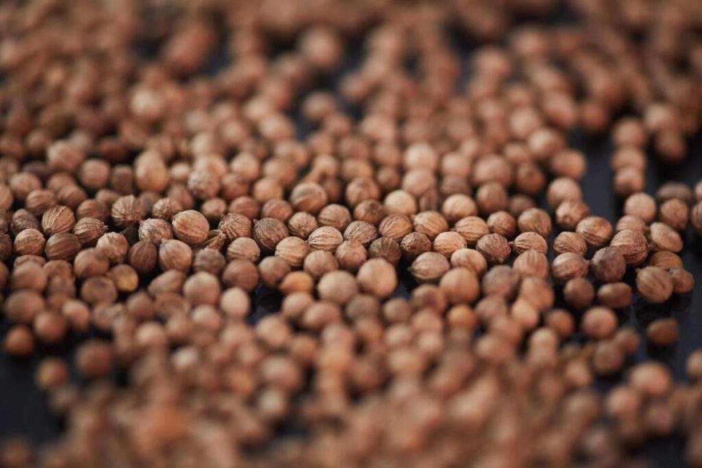 Najczęściej wybierane genetyki do celów medycznych na świecie