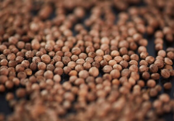 Najczęściej wybierane genetyki do celów medycznych na świecie