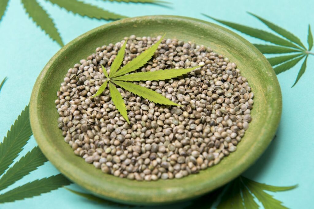 Rola nasion w badaniach nad medyczną marihuaną